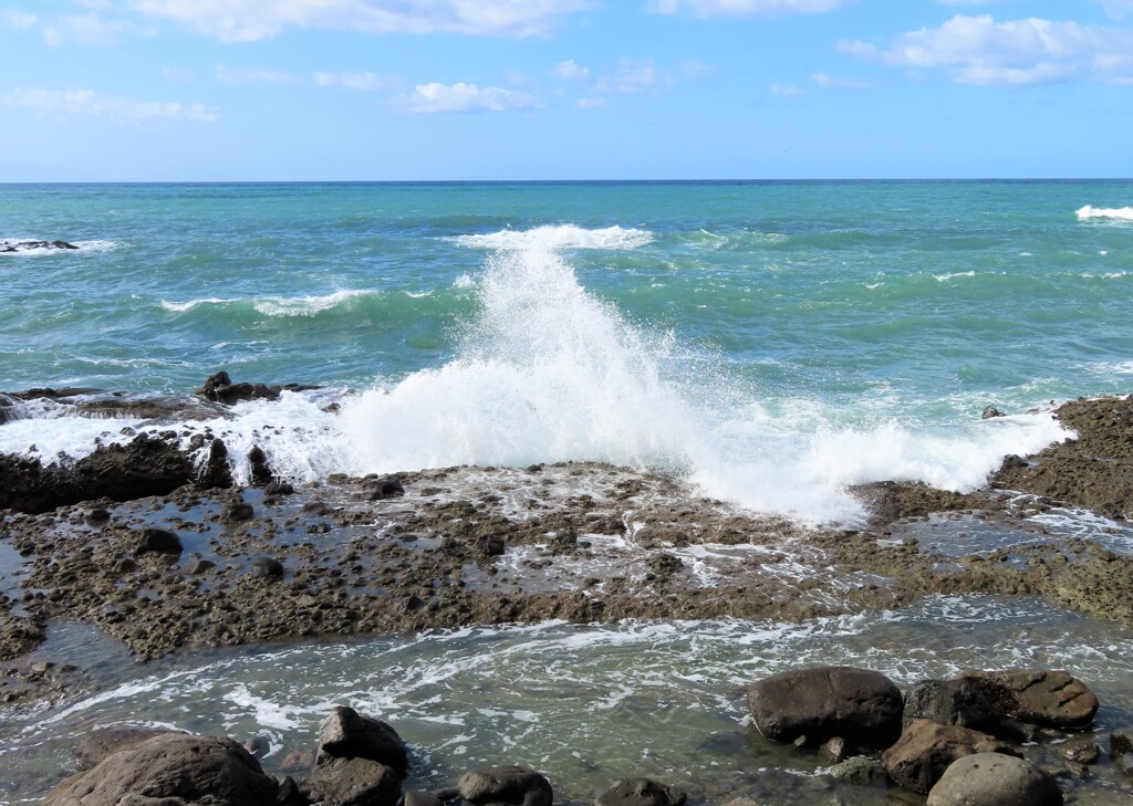 日本海