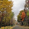 裏道の紅葉風景