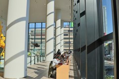 勉強には明るすぎ？