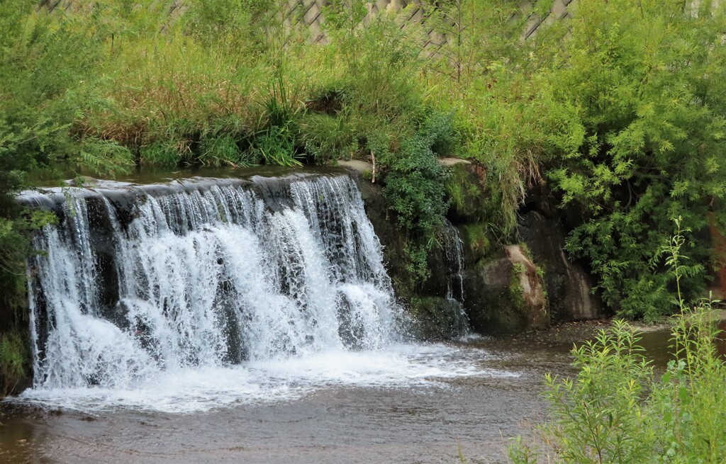 とある川に在った滝