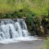 とある川に在った滝