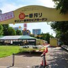 新！一番搾り！