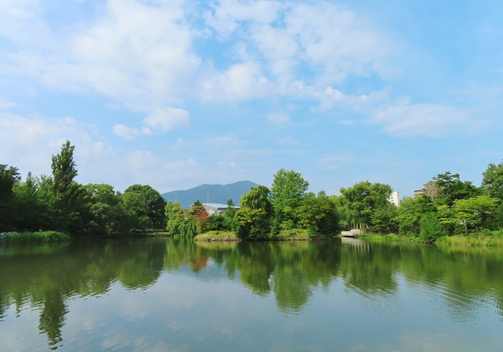 真夏の中島公園