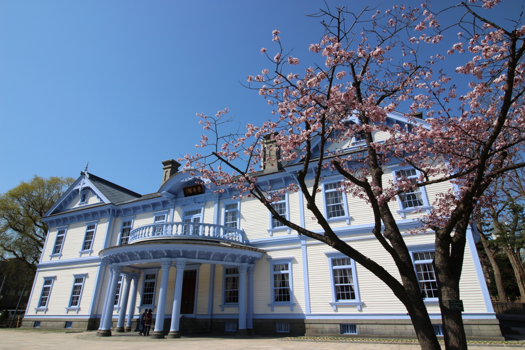 桜と豊平館