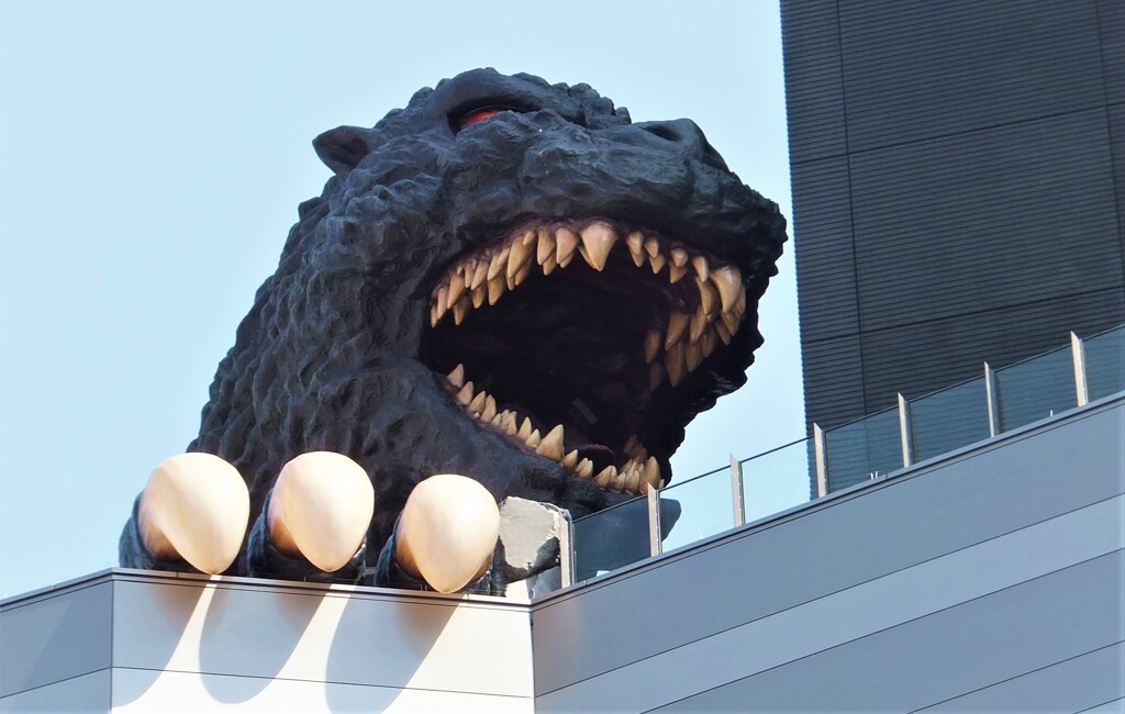 新宿ゴジラ　歯槽膿漏じゃないぜ！