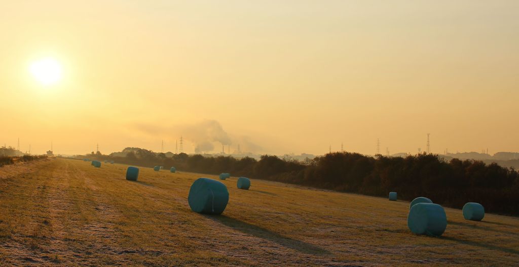 干し草ロールのある風景　朝　Ⅱ