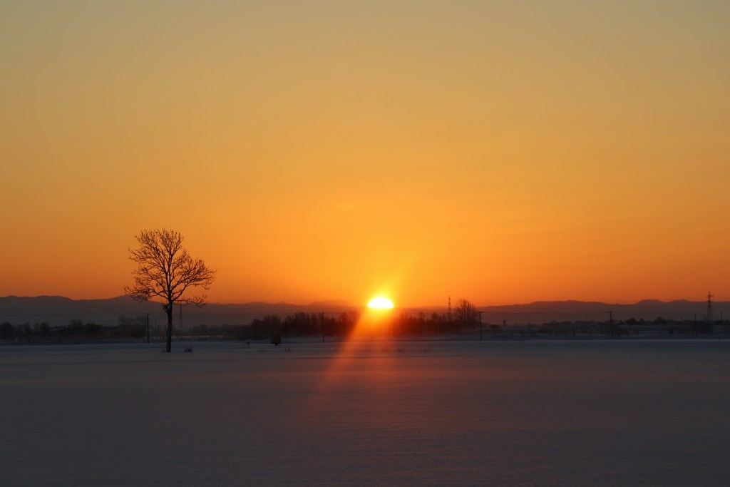 日の出　久々の映える朝