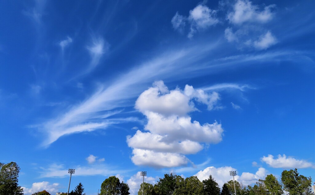 雲好き