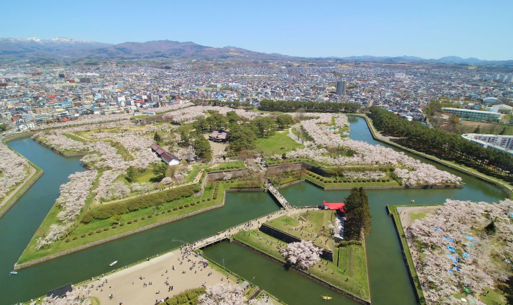 五稜郭の桜　Ⅱ