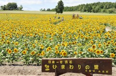 ベタベタ　バレバレ