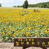 ベタベタ　バレバレ