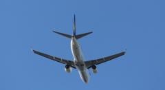 スカイマーク