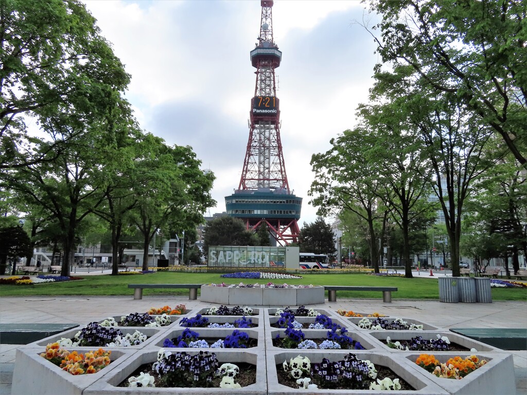 花壇と塔