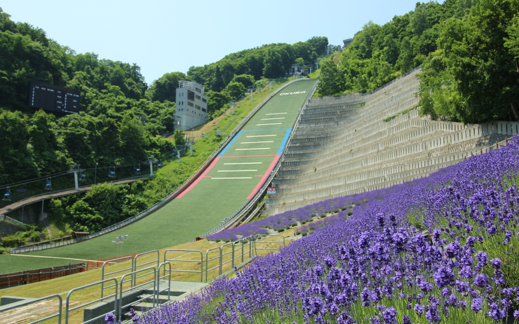 ラベンダーとジャンプ台