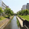 札幌散歩２４　創成川緑地