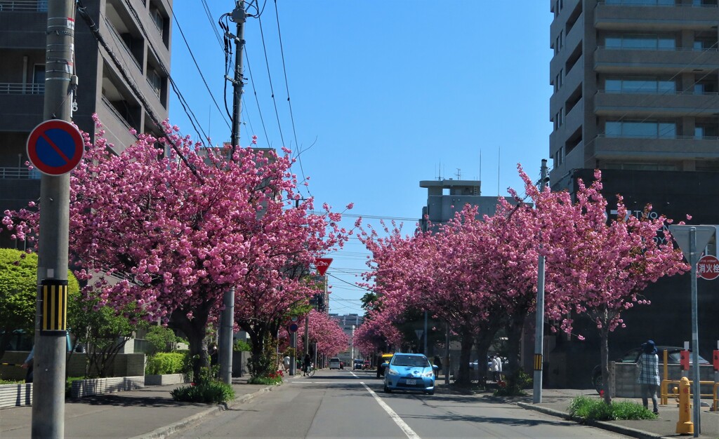 名物ストリート