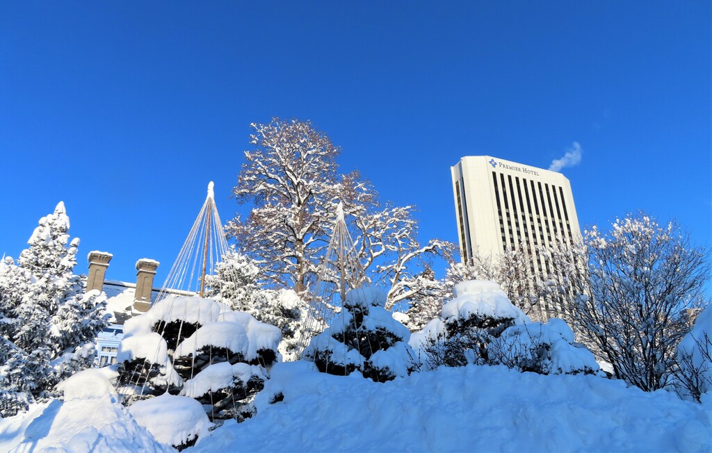 雪って、眩しい！