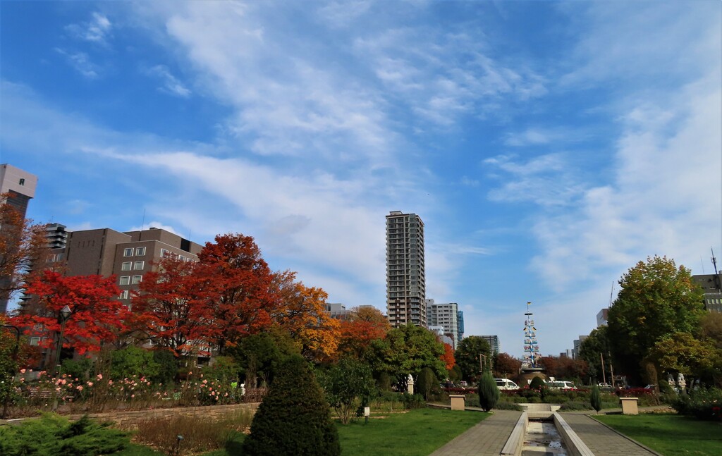 公園の空