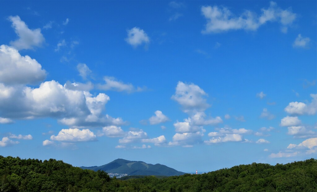 藻岩山