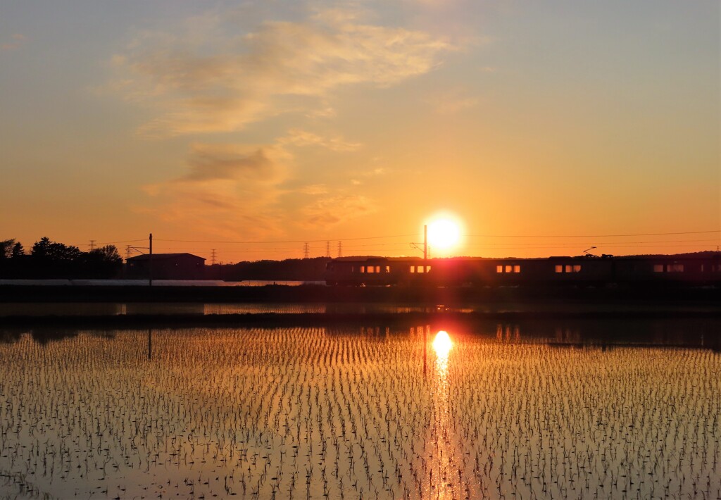 夕陽と水田と列車　その２