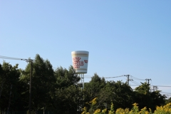 カップヌードル！！