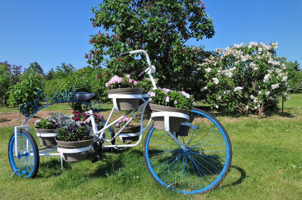 花自転車