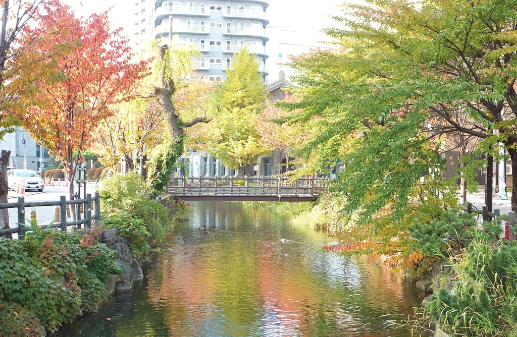 えっ？何処って？　「すすきの」です。