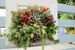 花のイベント　花フェスタ2018　５