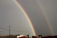 撮りたての虹　３