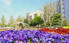 初夏の公園　Ⅰ