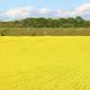 鮮やかな景色