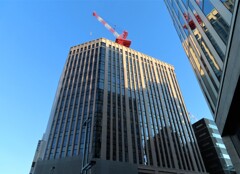 見上げて