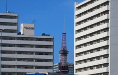 ビルの谷間にテレビ塔