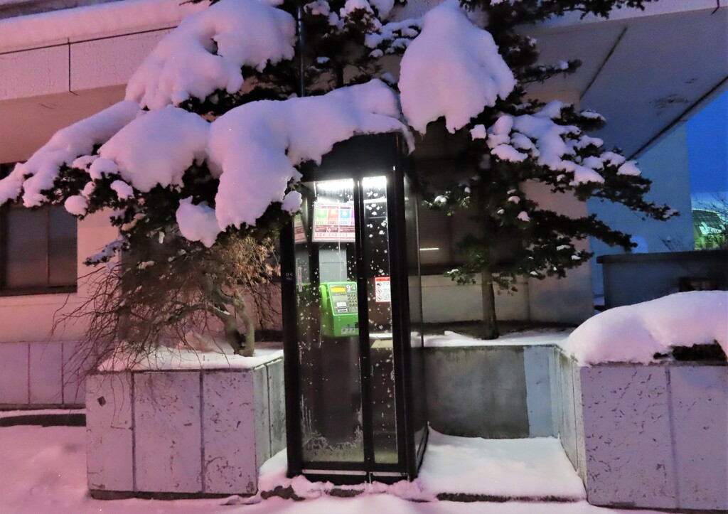 誰が使うのか？　テレフォンボックス