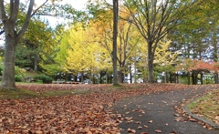 公園の秋　Ⅱ
