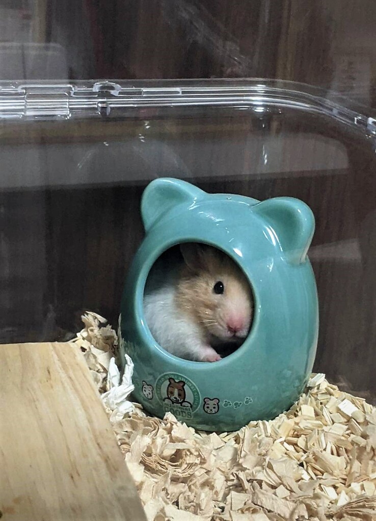 お気に入りの場所