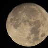 今夜は見られそうにないので・・　３