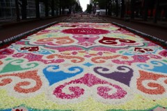 花のイベント　フラワーカーペット２