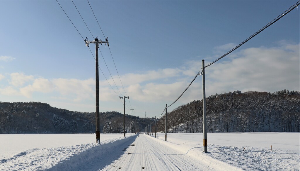 田舎道