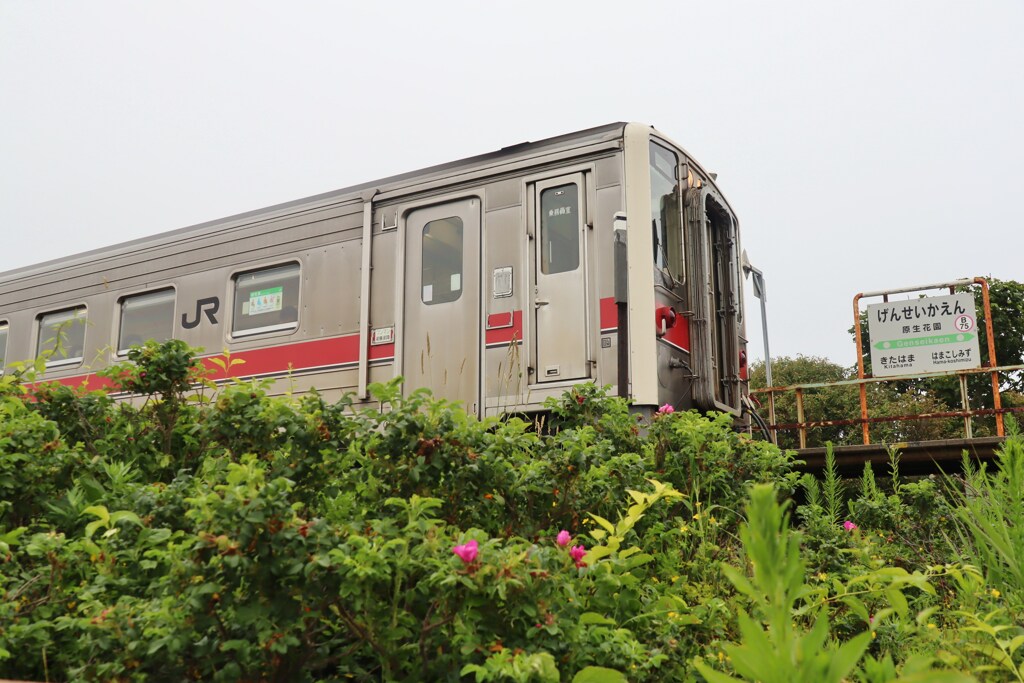 原生花園駅　停車中