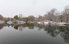 初冬　中島公園　２