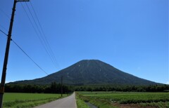 今日は、羊蹄山　４