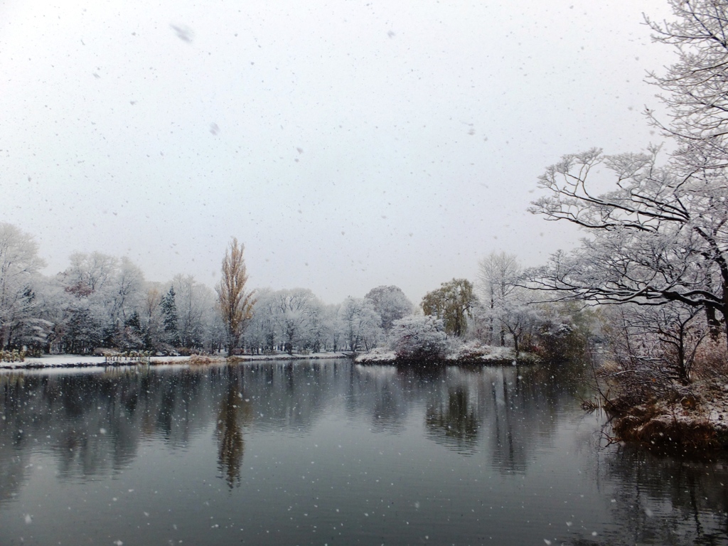 初雪二日目　中島公園