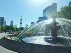 爽やかな季節