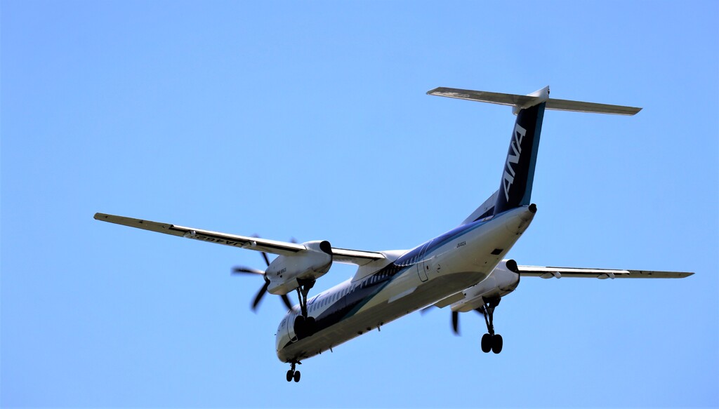 久々　飛行機　４