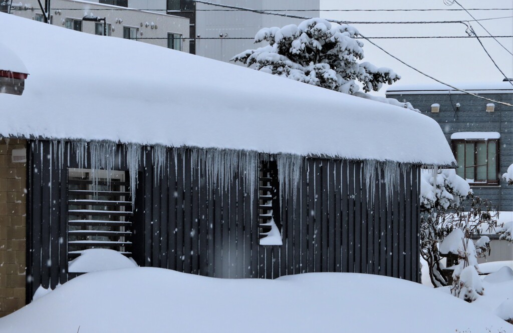 少し早い氷柱