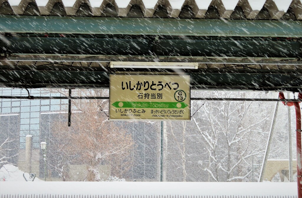 緩い吹雪！