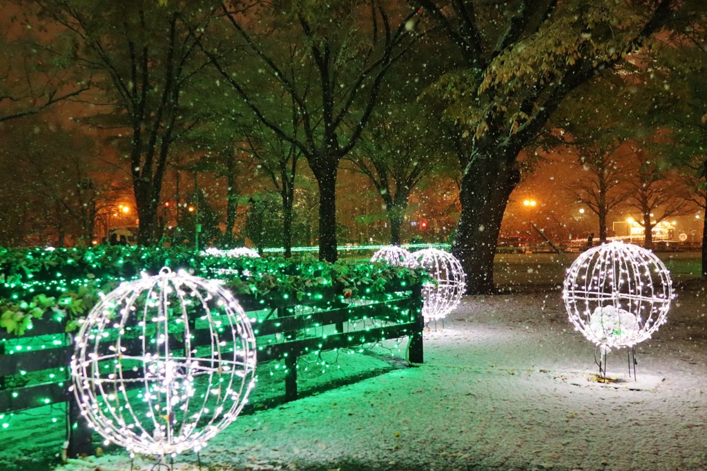 ホワイトイルミネーション　Ⅰ