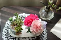 小さな花　Ⅱ