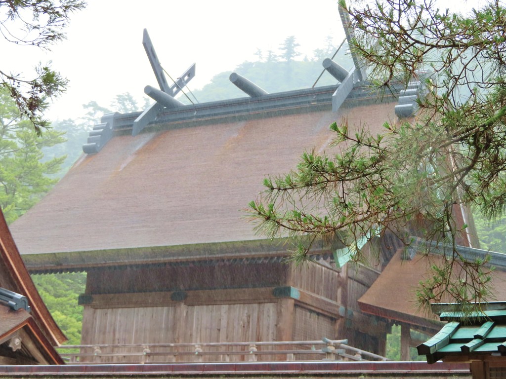 雨の出雲大社　　本殿